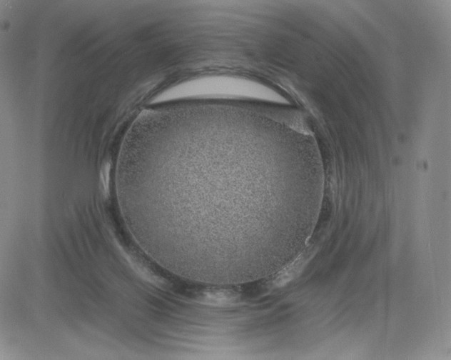 X0000083580070200702231706