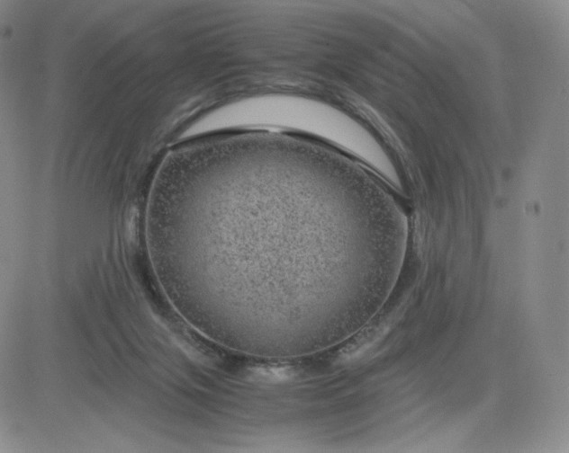 X0000083580071200702231706