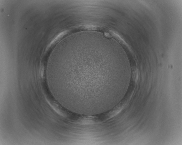 X0000083580072200702231706