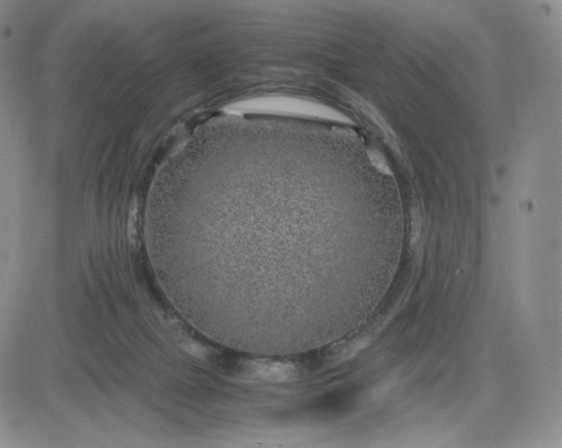 X0000083580073200702231706