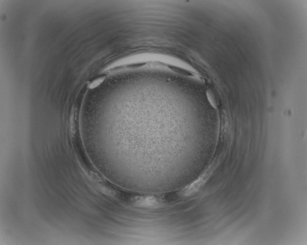 X0000083580074200702231706