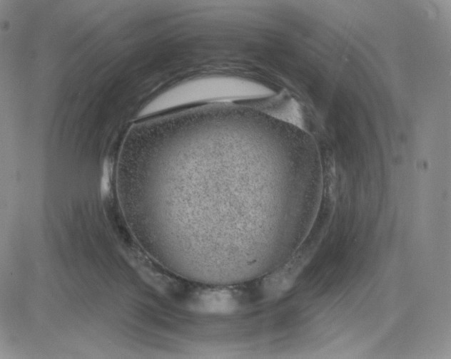 X0000083580075200702231706