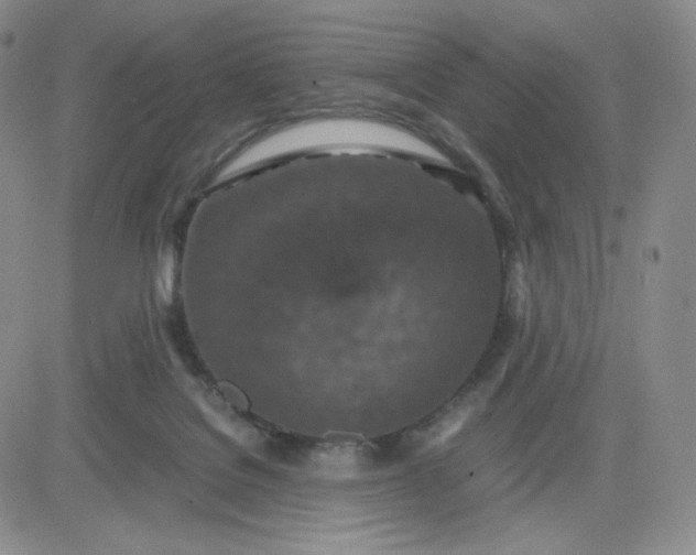 X0000083580076200702231706