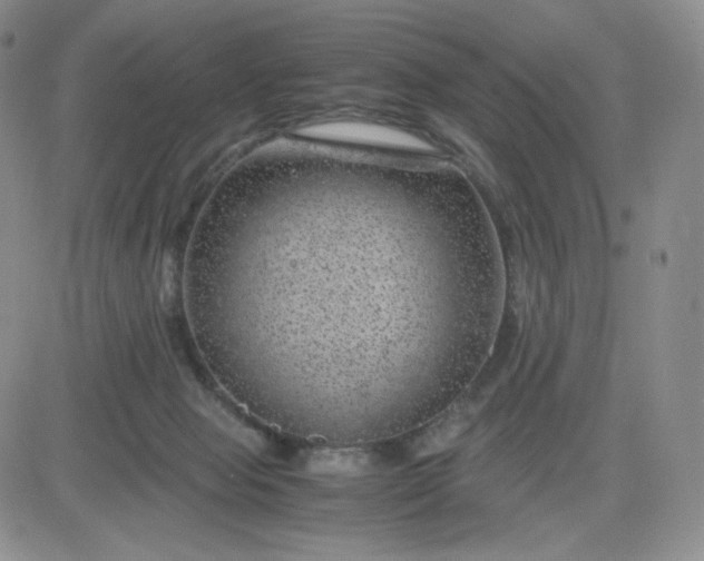 X0000083580077200702231706