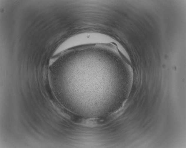 X0000083580078200702231706