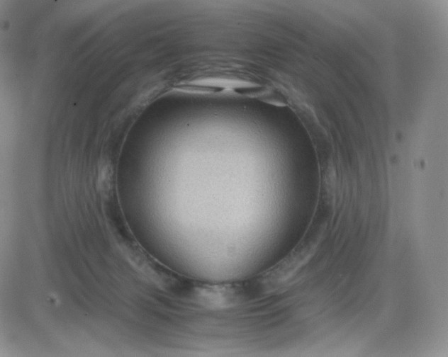 X0000083580079200702231706