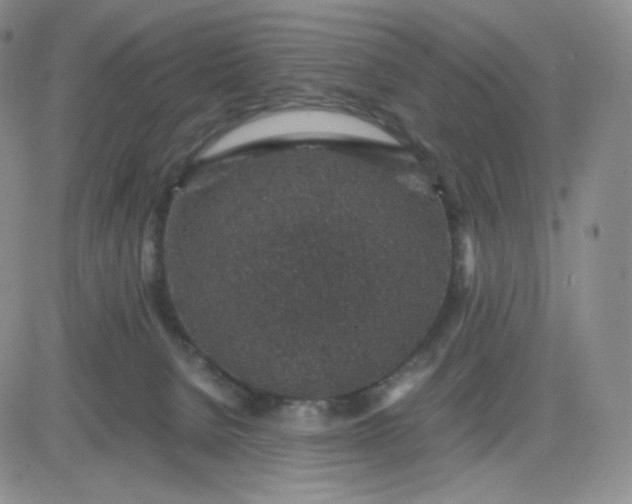 X0000083580080200702231706