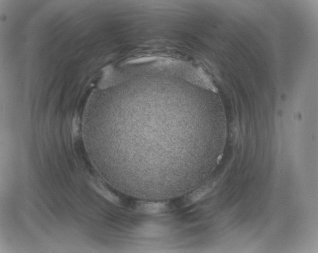 X0000083580081200702231706