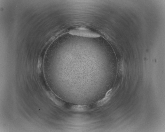 X0000083580082200702231706