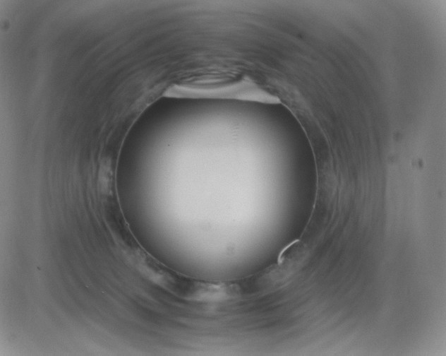 X0000083580083200702231706