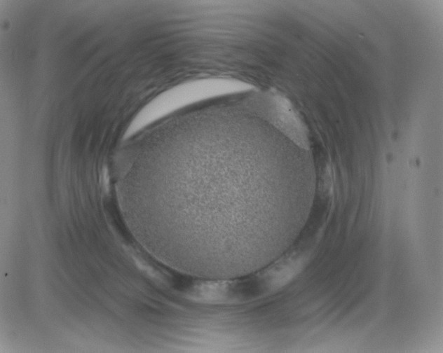 X0000083580084200702231706