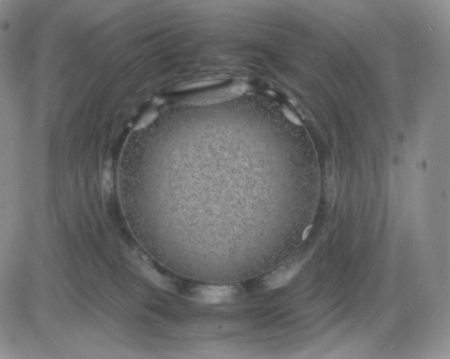 X0000083580085200702231706