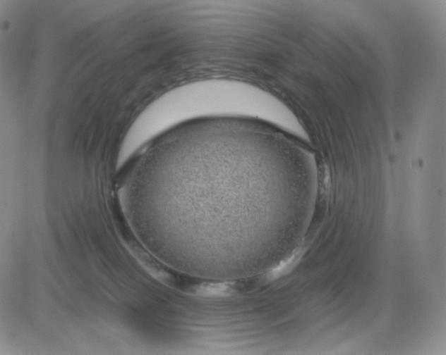 X0000083580086200702231706