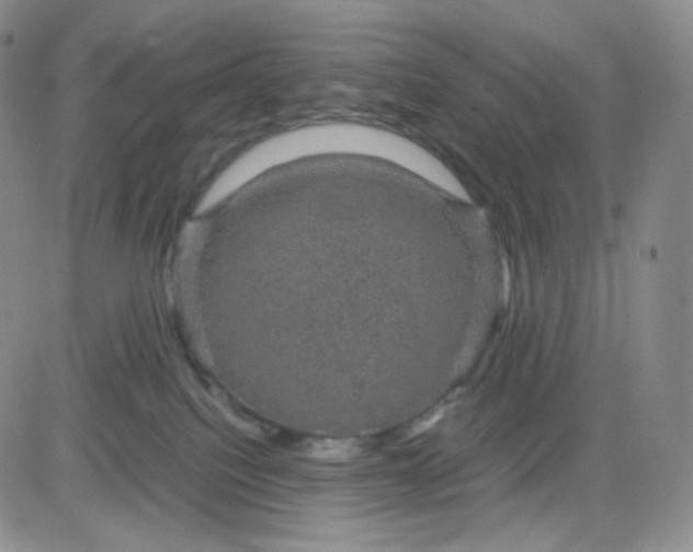 X0000083580088200702231706