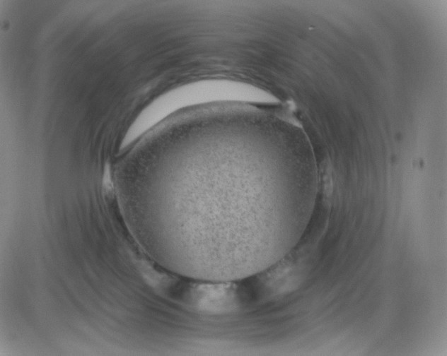 X0000083580089200702231706