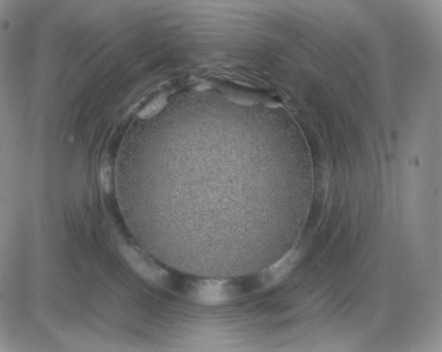 X0000083580090200702231706