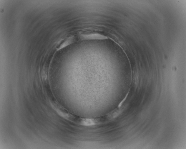 X0000083580091200702231706