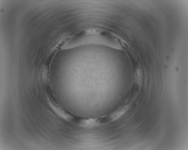 X0000083580092200702231706