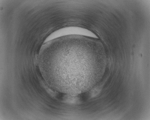 X0000083580093200702231706