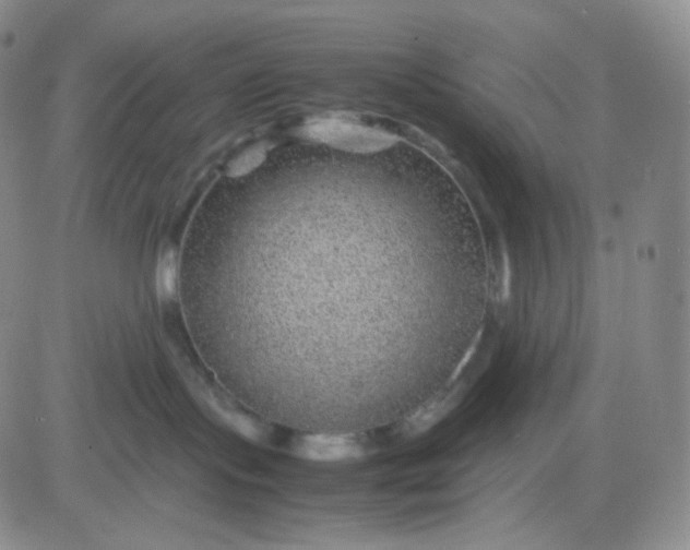 X0000083580095200702231706