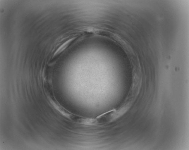 X0000083580096200702231706