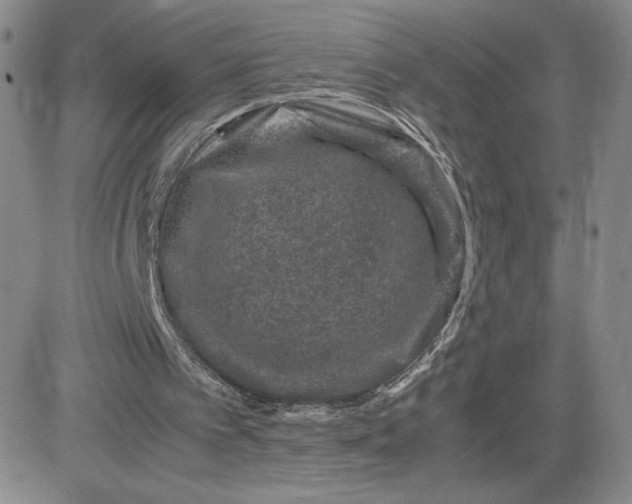 X0000083580097200702231705