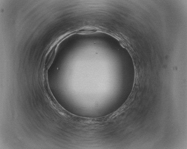 X0000083580098200702231705