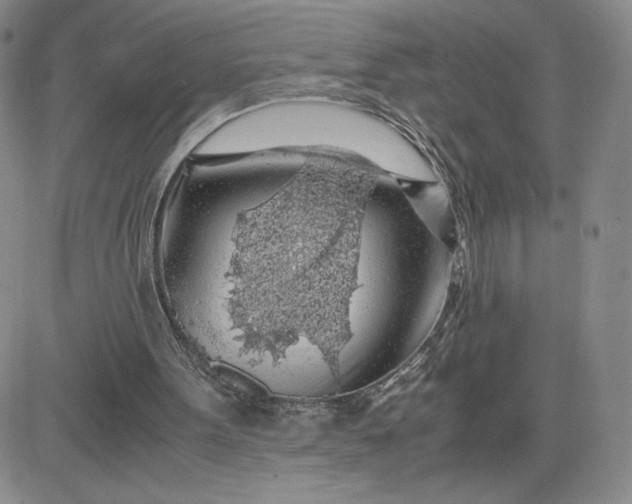 X0000083580099200702231705