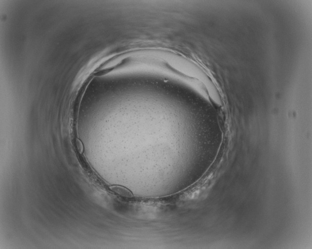 X0000083580103200702231705