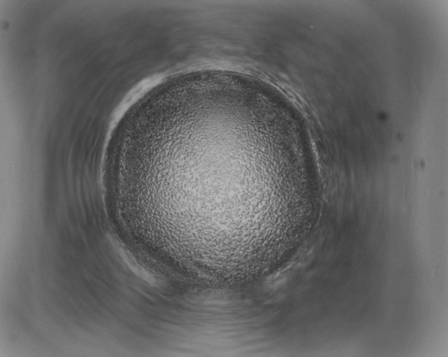 X0000083580104200702231705