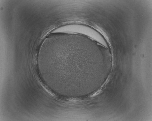 X0000083580105200702231705