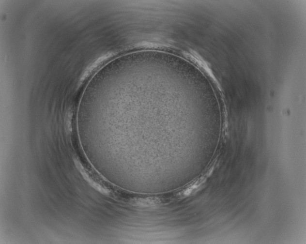 X0000083580106200702231705