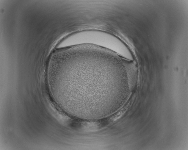 X0000083580107200702231705