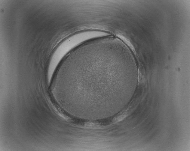 X0000083580109200702231705