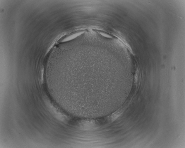 X0000083580110200702231705