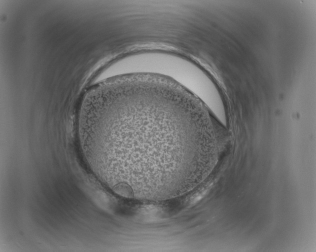 X0000083580111200702231705