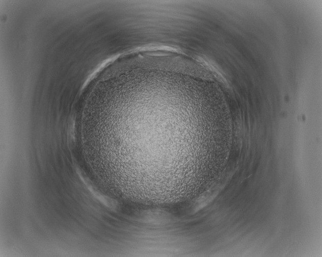 X0000083580112200702231705