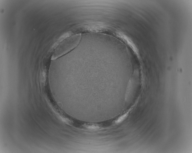 X0000083580113200702231705