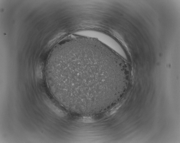 X0000083580114200702231705