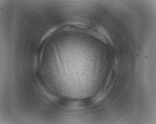 X0000083580116200702231705