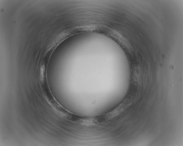 X0000083580118200702231705