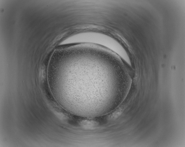 X0000083580119200702231705