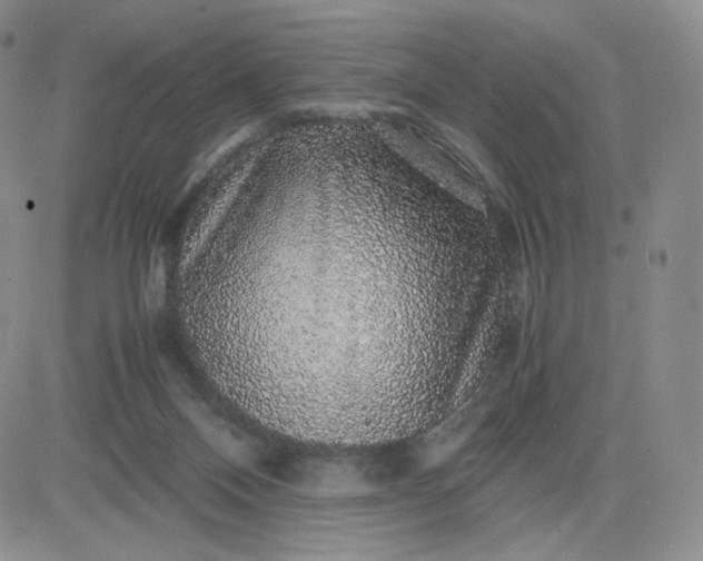 X0000083580120200702231705