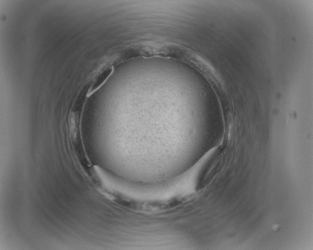 X0000083580121200702231705