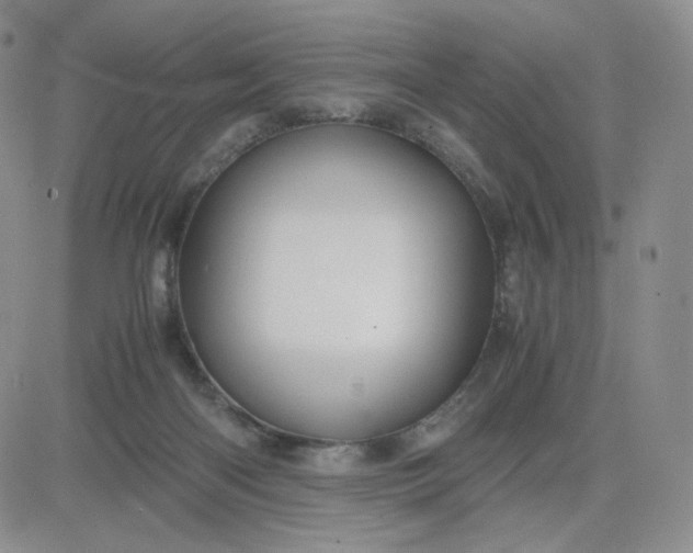 X0000083580122200702231705