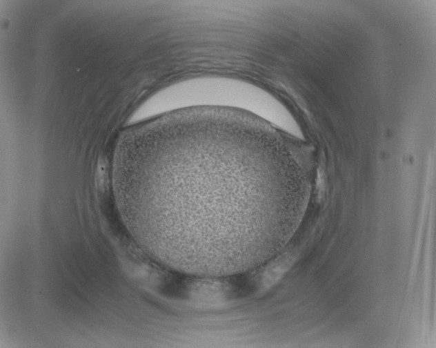 X0000083580123200702231705