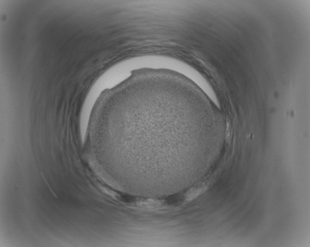 X0000083580125200702231705