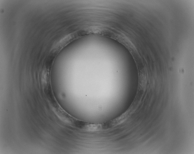 X0000083580126200702231705