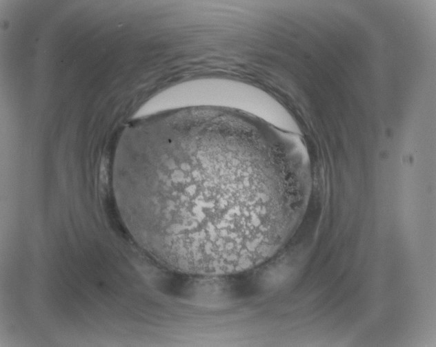 X0000083580127200702231705