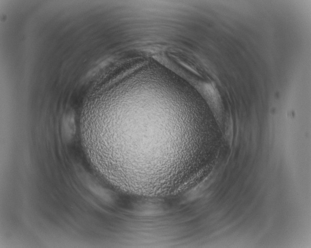 X0000083580128200702231705